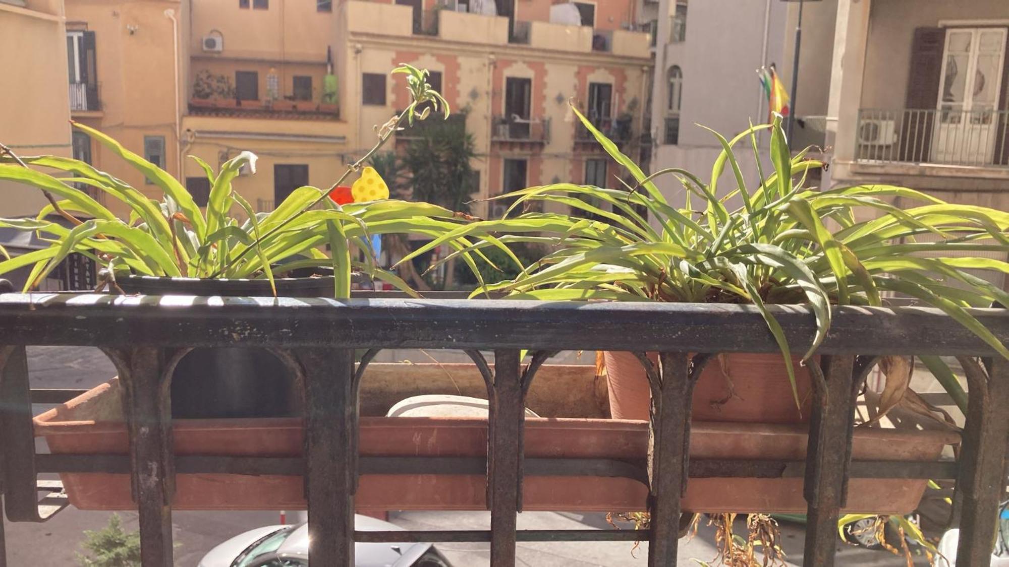 Casa Empedocle Διαμέρισμα Παλέρμο Εξωτερικό φωτογραφία
